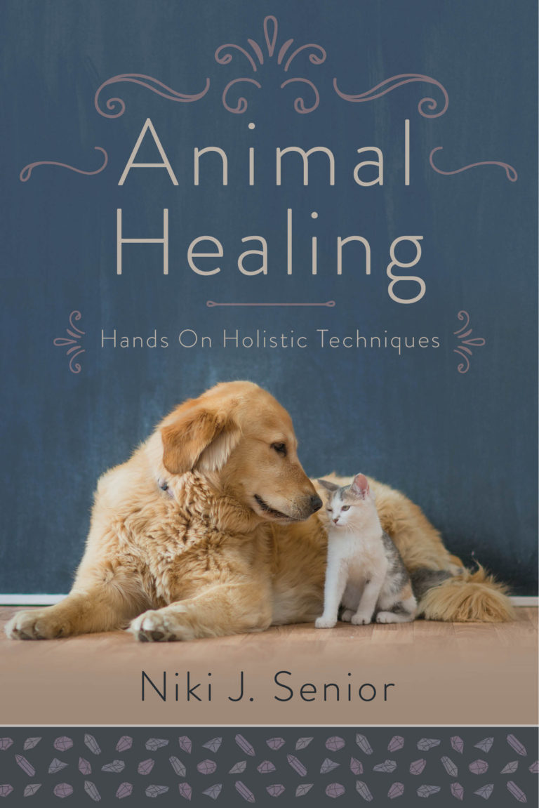 reiki courses for animals Archives Animal Magic Training