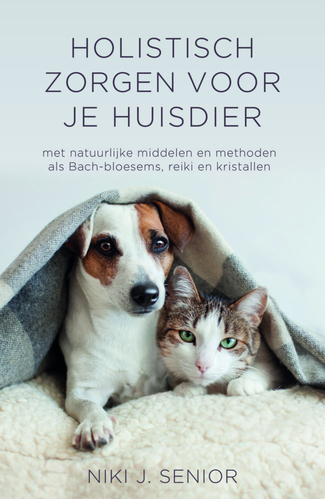 Book Translation to Dutch Animal Magic Training