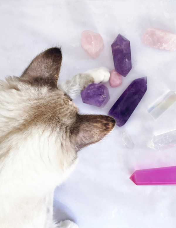 Cat Crystals