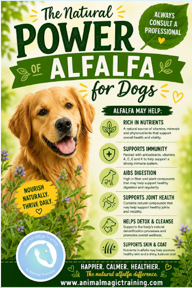 Alfalfa Alfalfa